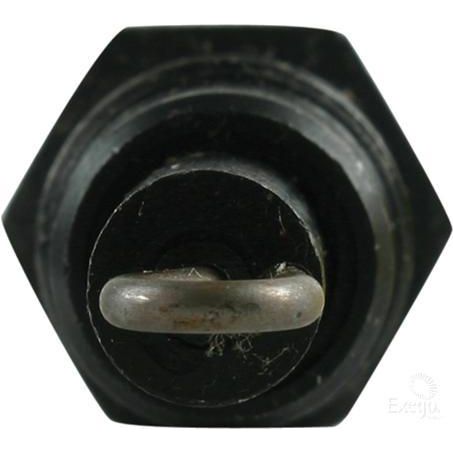 BOSCH Glow Plug (Plug Voltage 11V) 0250001016