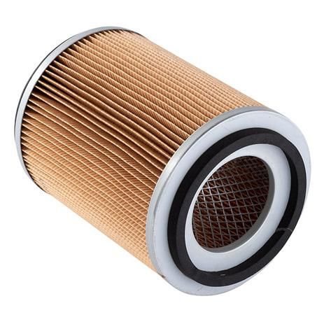 Repco Air Filter RAF606