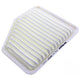 Repco Air Filter RAF507