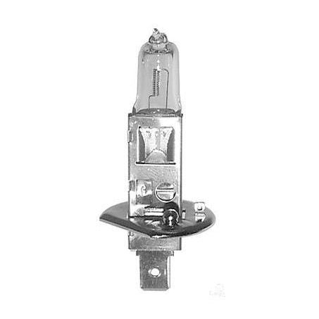 OEX H1 Globe 12V 55W Standard - 1 Pce GLX16557
