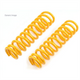 KING SPRINGS Coil Spring Each