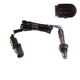OEX  Oxygen Sensor OOS5403