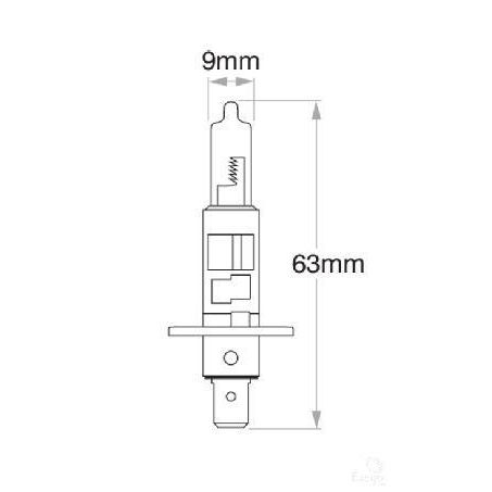 OEX H1 Globe 12V 55W Standard - 1 Pce