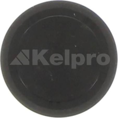 Kelpro Oil Seal 98703