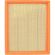 RYCO AIR FILTER - HOLDEN/ISUZU A1618