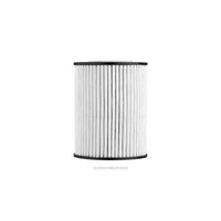 Ryco Oil Filter R2876P