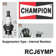 Champion Small Engine Spark Plug RCJ6YMP