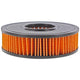 Repco Air Filter RAF465