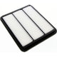 RYCO AIR FILTER - HOLDEN EPICA 2.0L DSL A1799