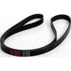 Repco Multi Ribbed Drive Belt 6 Rib x 1650mm 6PK1650RB