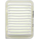 Repco Air Filter RAF261