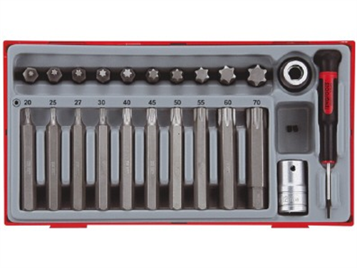 TENG TOOLS MECCA ROSSO 1/2DR. TX BIT SET 20 PIECE T