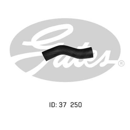 Gates Radiator Hose Upper 05-0192