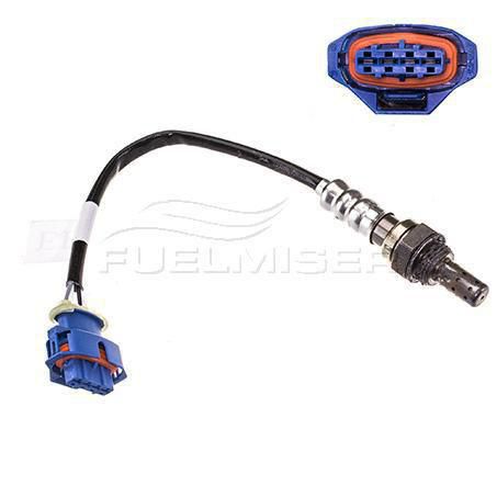 OEX  Oxygen Sensor OOS1161