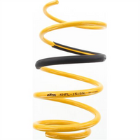 KING SPRINGS Coil Spring Each