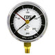 CPS REPLACEMENT GAUGE FOR TOX068 RGNK