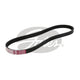 Gates Micro V Belt 4PK843