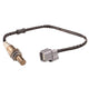 OEX  Oxygen Sensor OOS831
