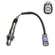 OEX  Oxygen Sensor OOS5346