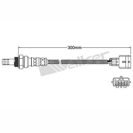 OEX  Oxygen Sensor OOS5055