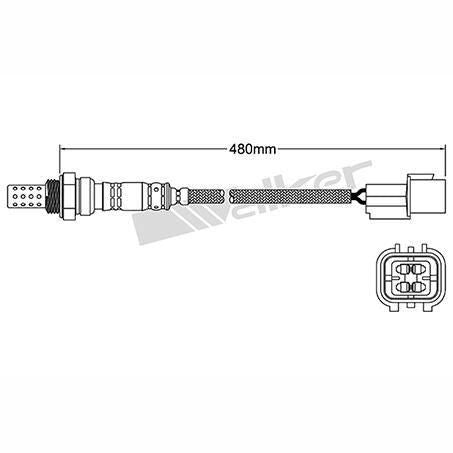 OEX  Oxygen Sensor OOS5155