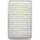 Ryco Air Filter A1491