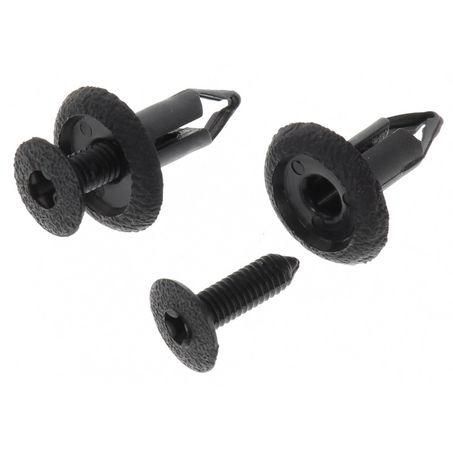 CHAMPION AUTO PARTS Champion Rivet Pack 6mm BH439
