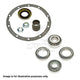 DRIVETECH RZH125 8/89-8/98 DBK224