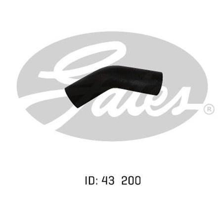 Gates Radiator Hose Lower 05-0202