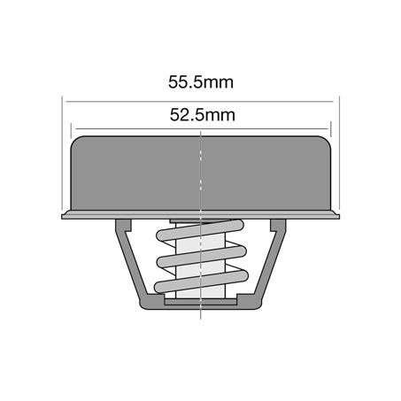Tridon Thermostat 55.5mm  - 82 Degrees C TT238-180