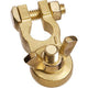 PROJECTA Battery Terminal Brass Wingnut Negative 1pk