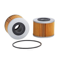 RYCO OIL FILTER (CARTRIDGE) R2070P