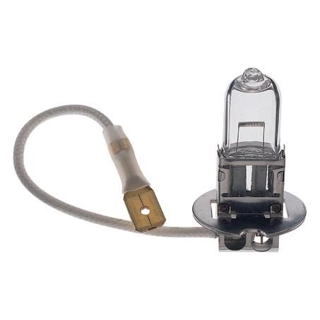 Hella H3 Globe 24V 70W Truckstar Long Life 1 Pce YC2470TS