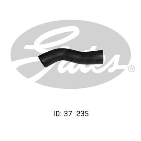 Gates Radiator Hose Lower 05-0256