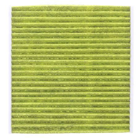 Repco Cabin Air Filter - Anti-Viral RCF714A
