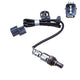 OEX  Oxygen Sensor OOS1302