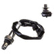 OEX  Oxygen Sensor OOS5405