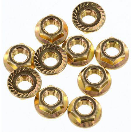 CHAMPION AUTO PARTS Champion Flange Nut Pack M8 x 1.25 FBM161