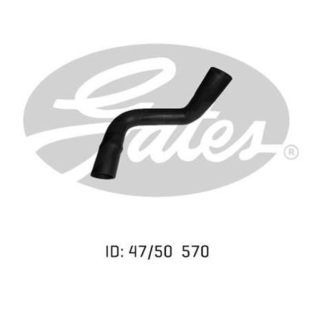 Gates Radiator Hose Lower 05-0368
