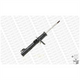 Monroe OESPECTRUM STRUT