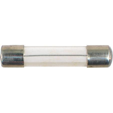 ASL FUSE 20 AMP GLASS