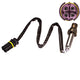 FUELMISER OXYGEN SENSOR