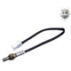 OEX  Oxygen Sensor OOS5168