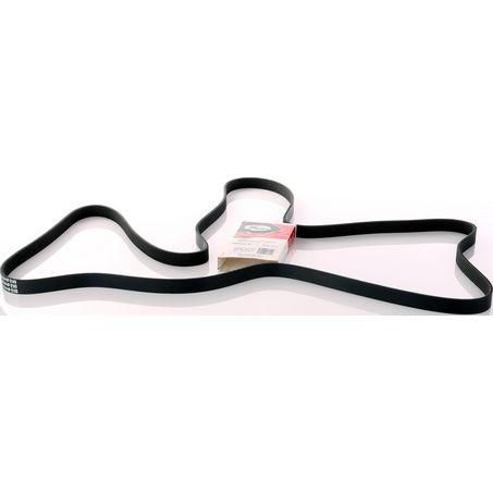 GATES FAN BELT - RIBBED K061033 6PK2625