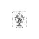 DAYCO THERMOSTAT 77 DEGREES C - 170 DEGREES F DT17E