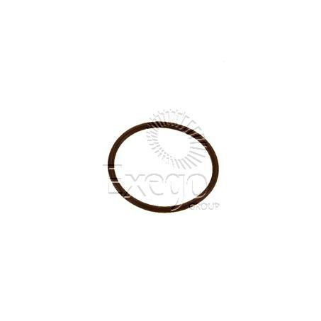 DRIVETECH O'RING (KIRBY R/P) PISTON TO RACK GO-3106
