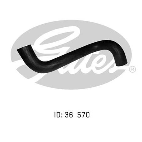 GATES RADIATOR HOSE UPPER 05-0899
