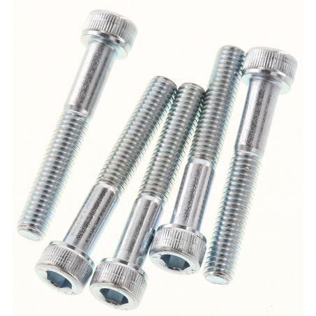 CHAMPION AUTO PARTS Champion Socket Head Nut Pack M6 x 40 SHM27