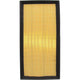 RYCO AIR FILTER - KIA CARENS/MENTOR A1431