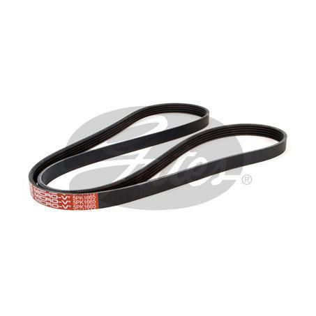 Gates Fan Belt Ribbed 5PK1665